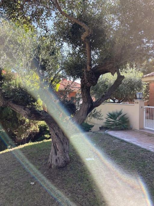 Tamarit By Tarragonadays Holiday home *